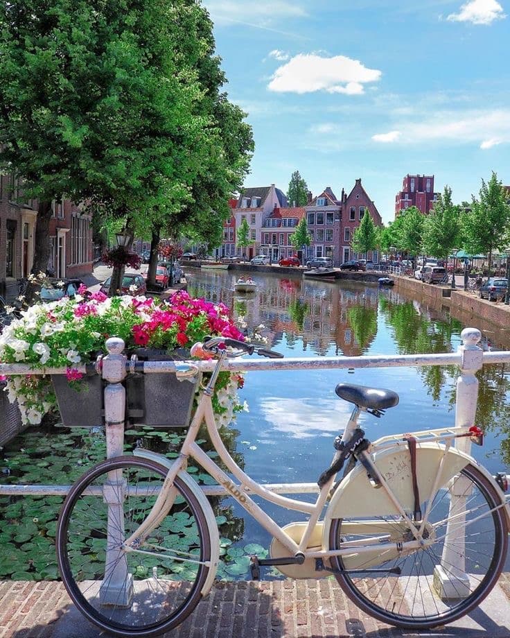 The Netherlands